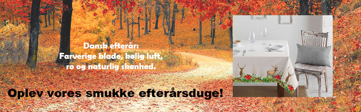 efterårs-banner-2024-2